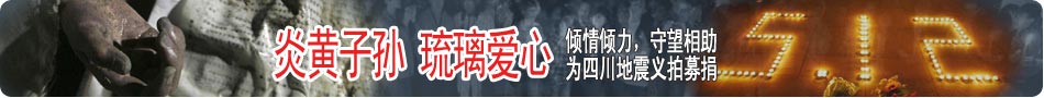 抗震救灾 义拍专栏