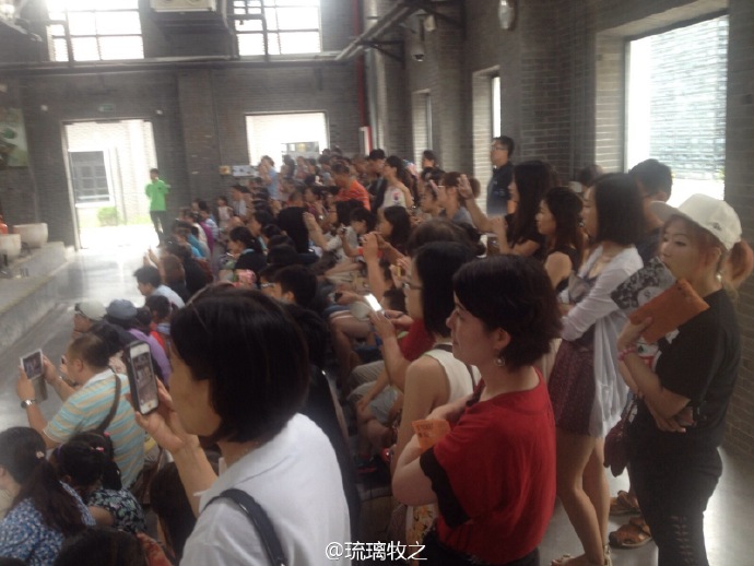dvubb 图片点击可在新窗口打开查看